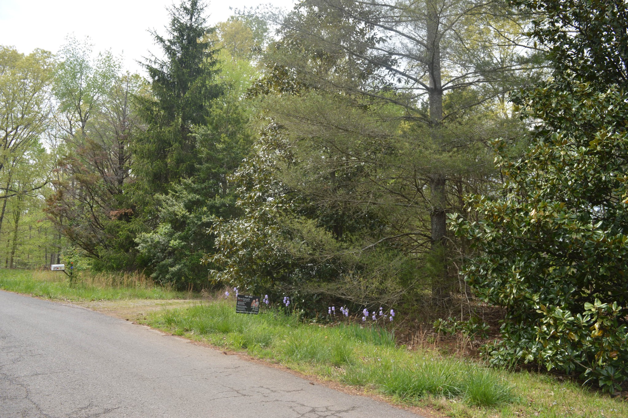 1023 Deer Ridge Road Kingston Springs TN 37082