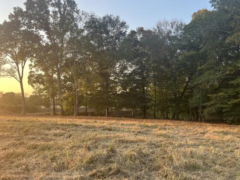 0 Stringfellow Road White Bluff TN 37187