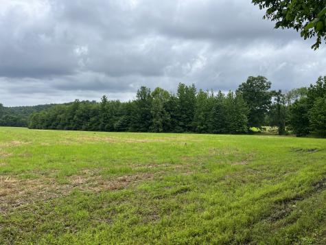 0 Stringfellow Road White Bluff TN 37187