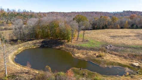 0 Stringfellow Road White Bluff TN 37187