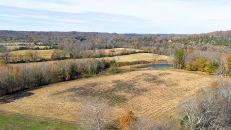 0 Stringfellow Road White Bluff TN 37187