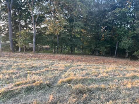0 Stringfellow Road White Bluff TN 37187