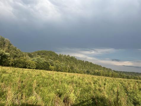 0 Stringfellow Road White Bluff TN 37187