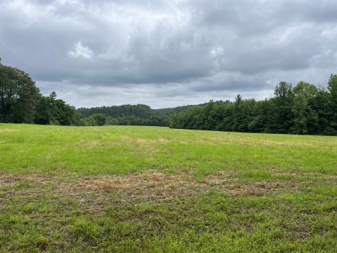 0 Stringfellow Road White Bluff TN 37187