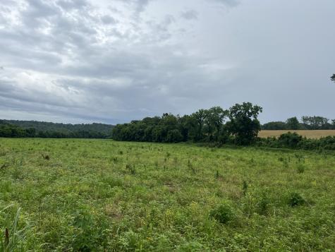 0 Stringfellow Road White Bluff TN 37187