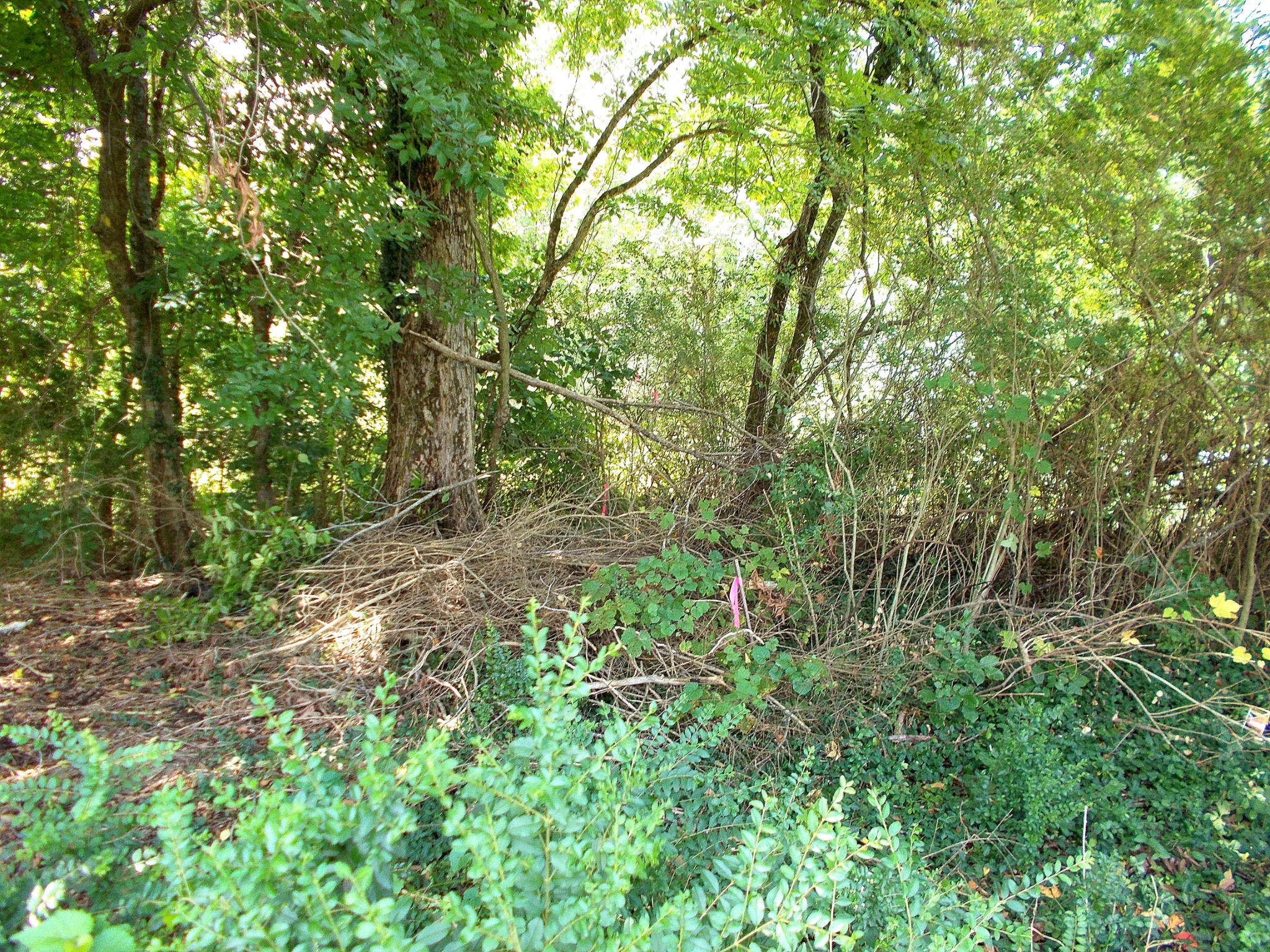 0 W Walnut Street Dickson TN 37055