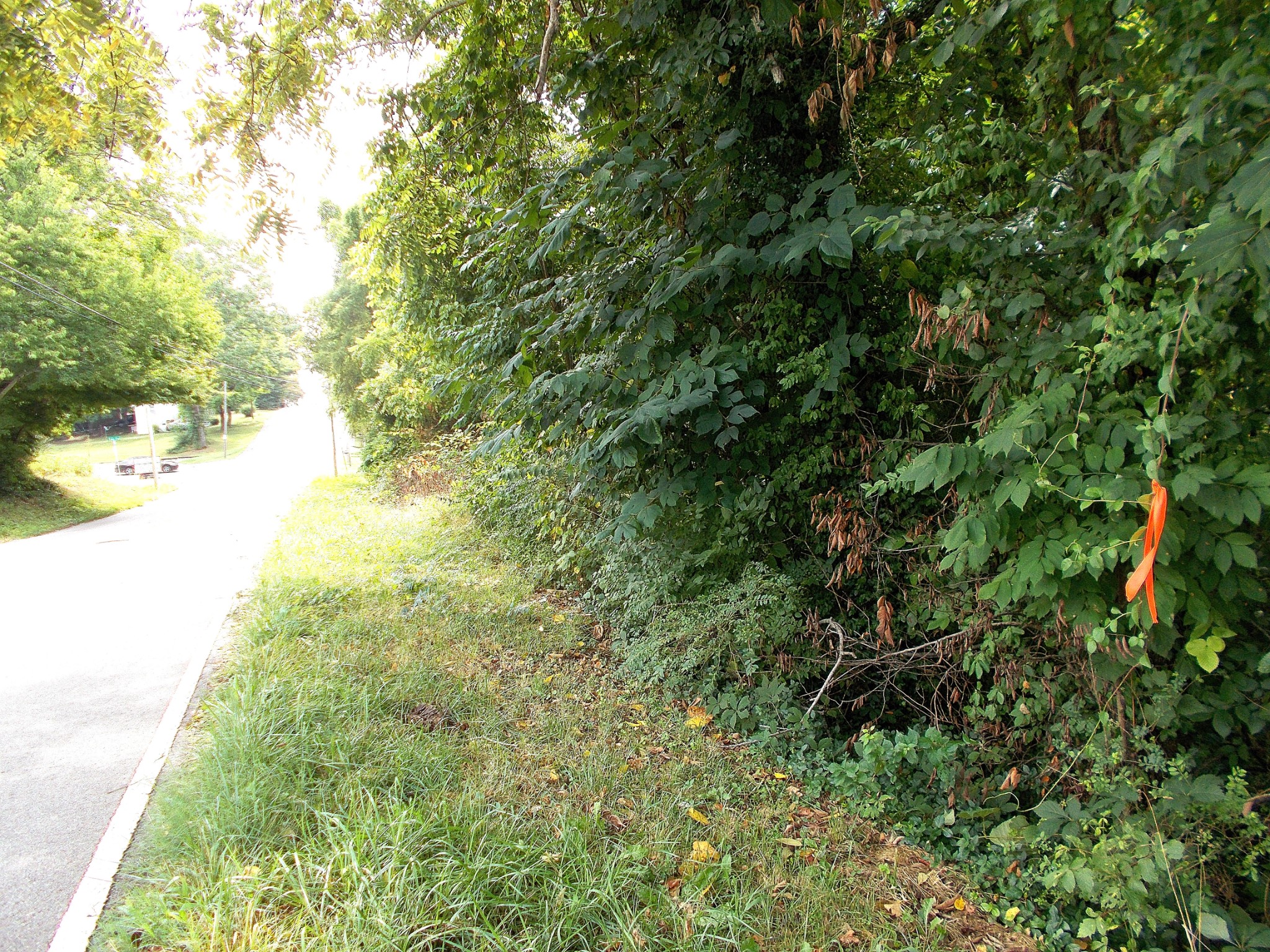 0 W Walnut Street Dickson TN 37055