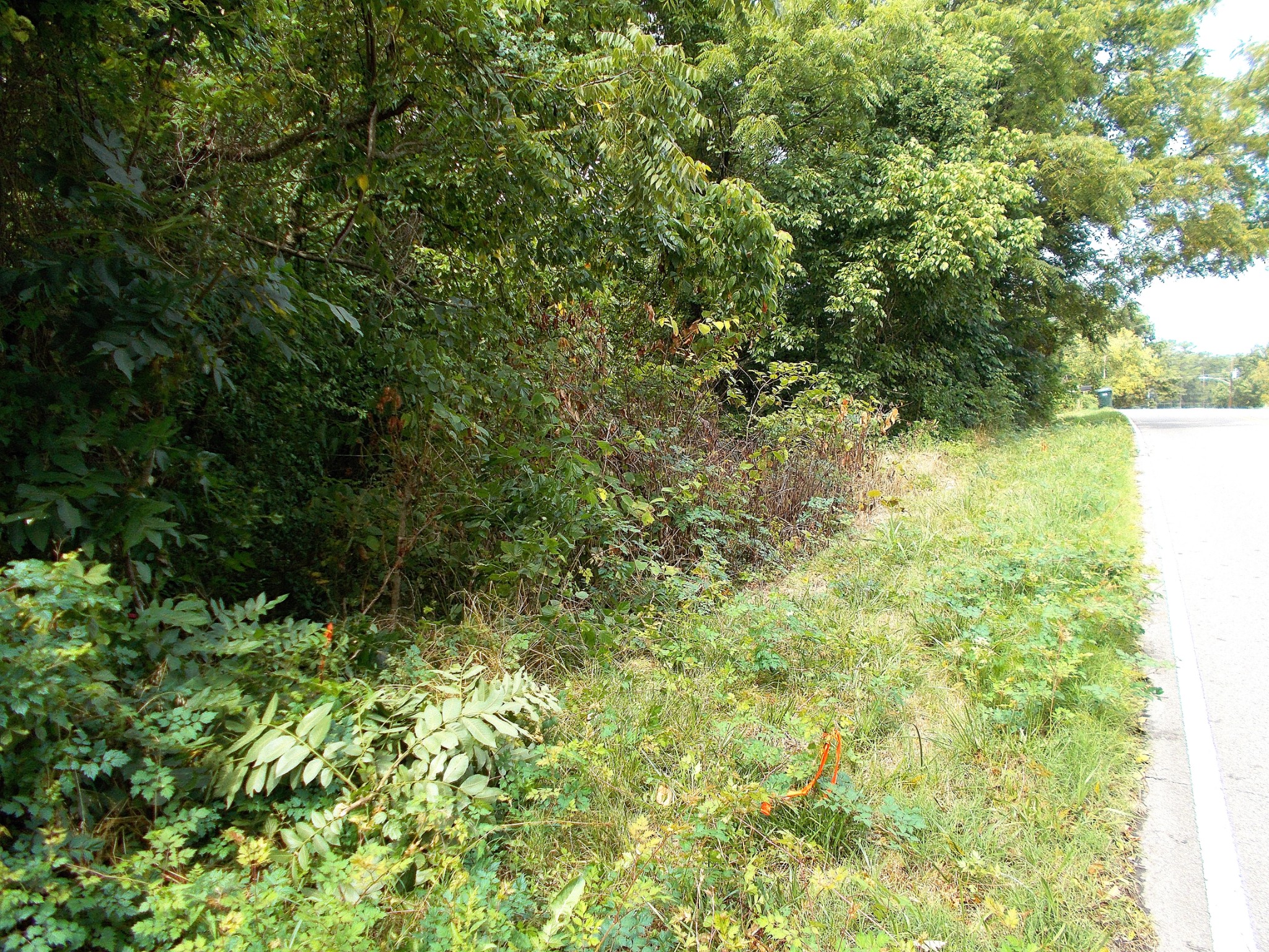 0 W Walnut Street Dickson TN 37055