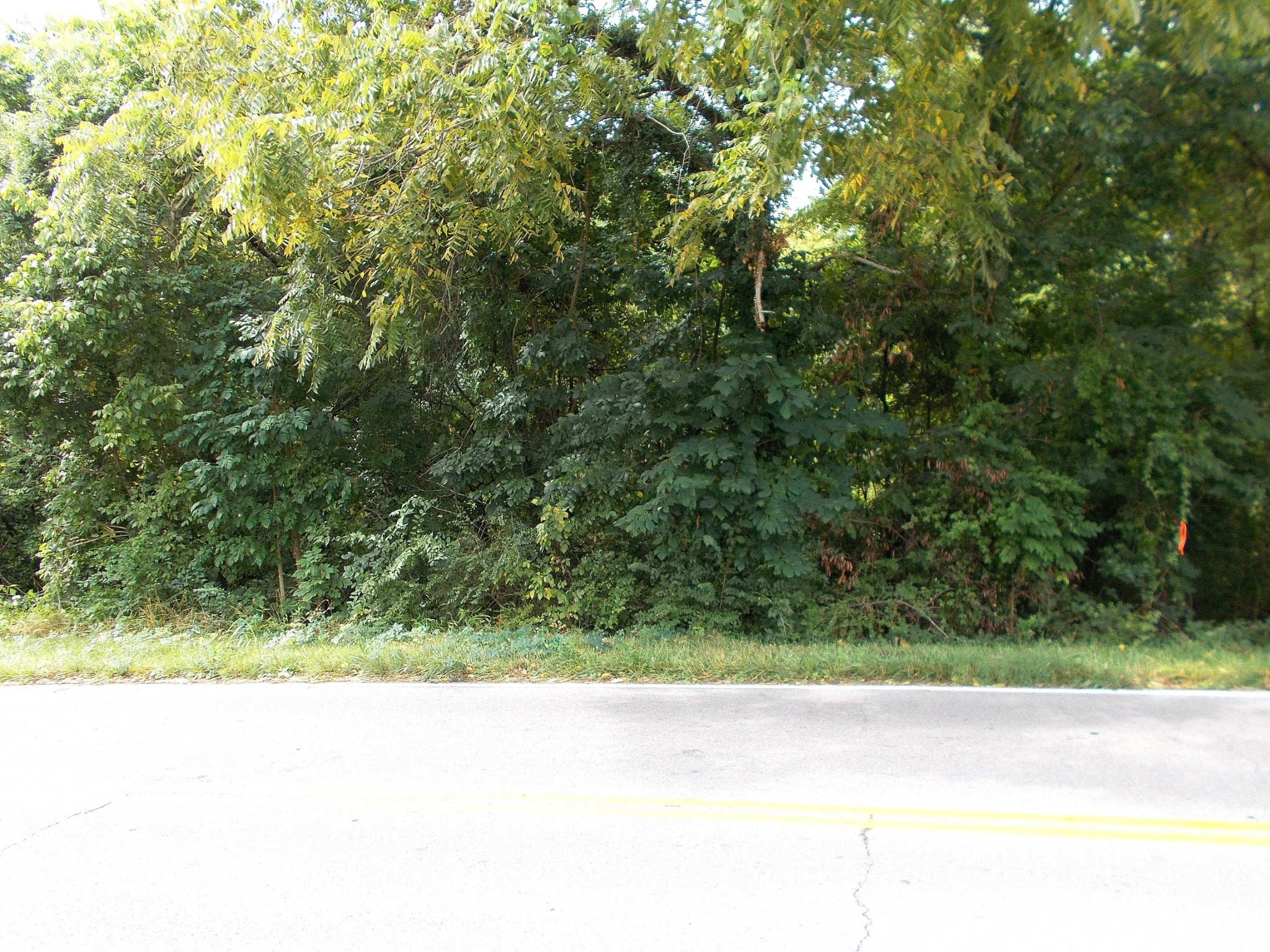 0 W Walnut Street Dickson TN 37055