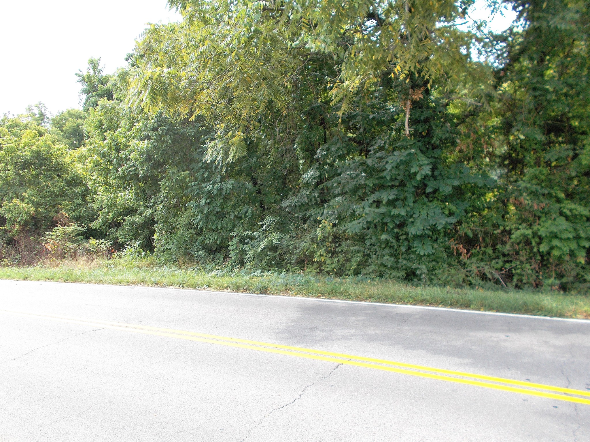0 W Walnut Street Dickson TN 37055