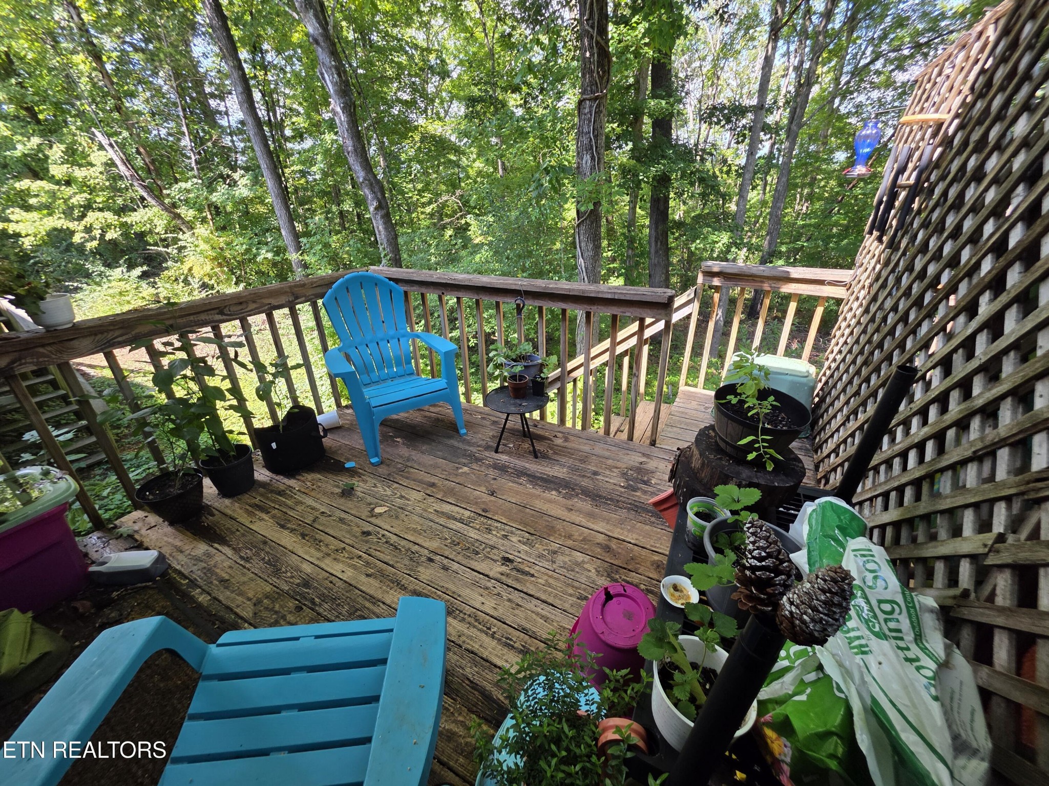 113 High Point Lane Oak Ridge TN 37830