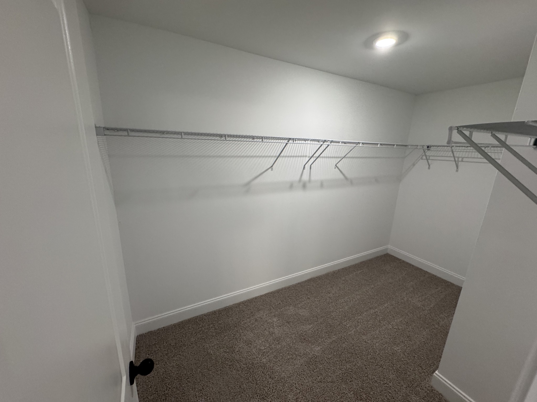 1824 Flatwaters Street Spring Hill TN 37174