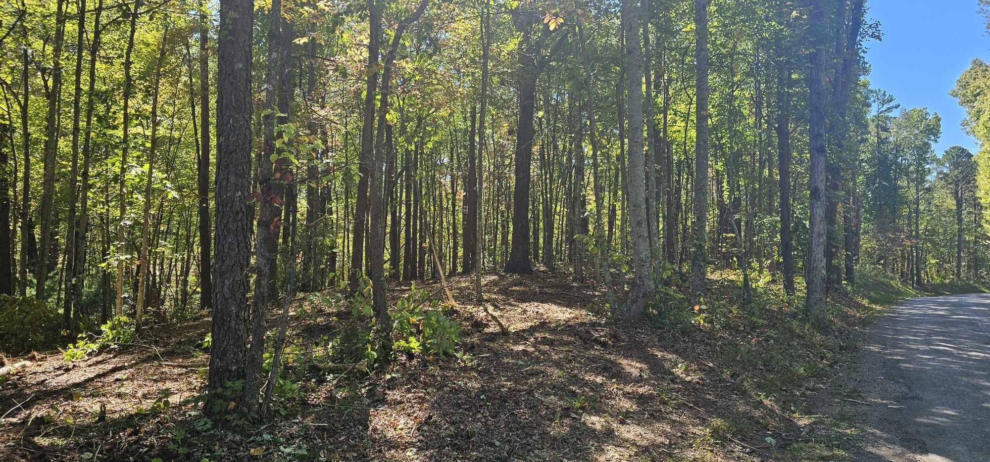 208 Old Furnace Road Tellico Plains TN 37385