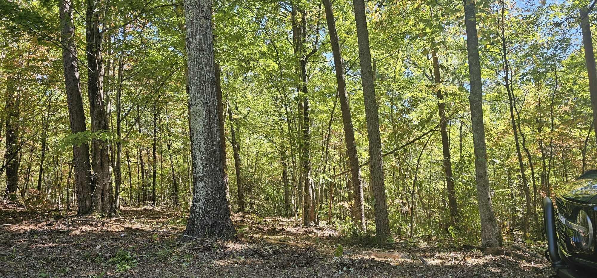 208 Old Furnace Road Tellico Plains TN 37385