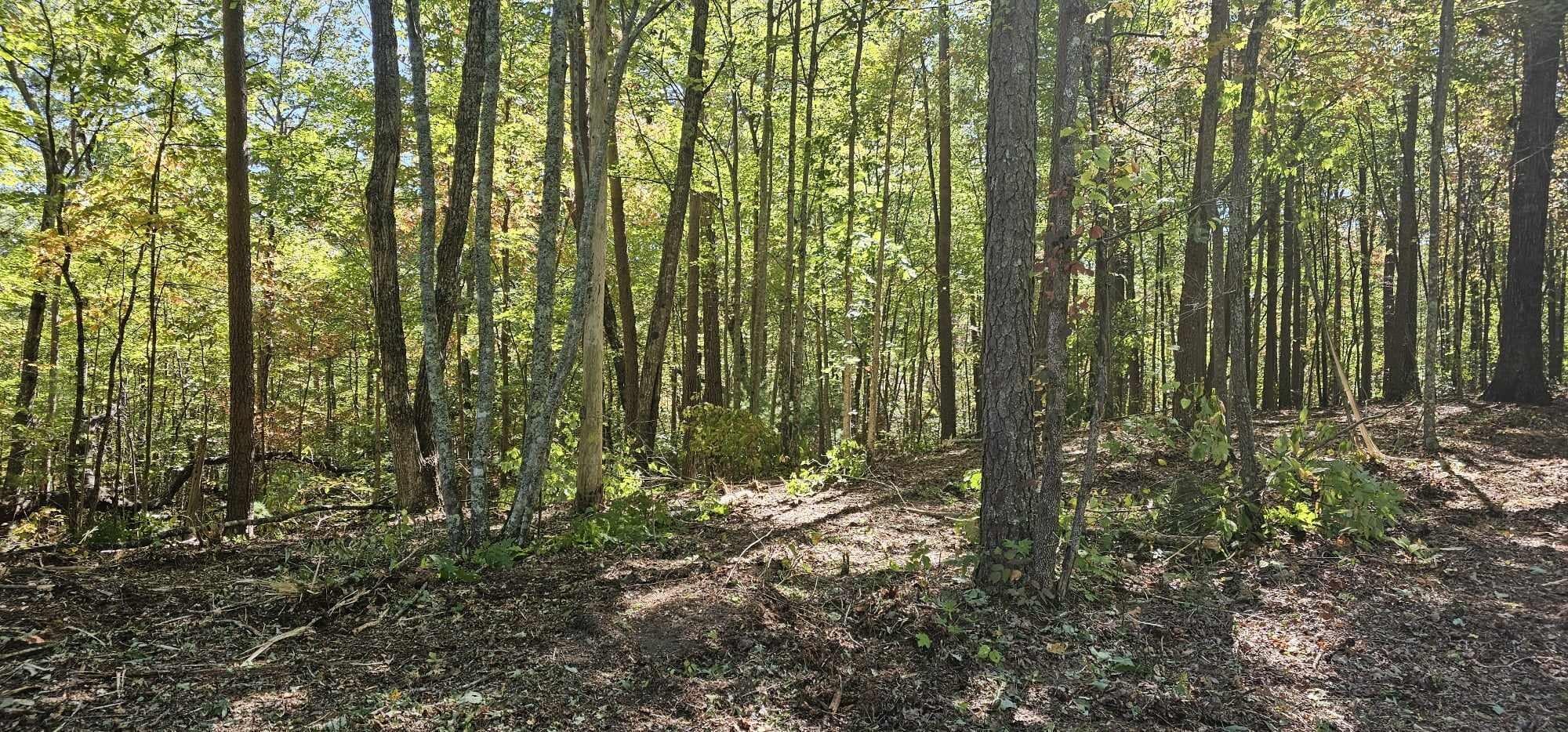 208 Old Furnace Road Tellico Plains TN 37385