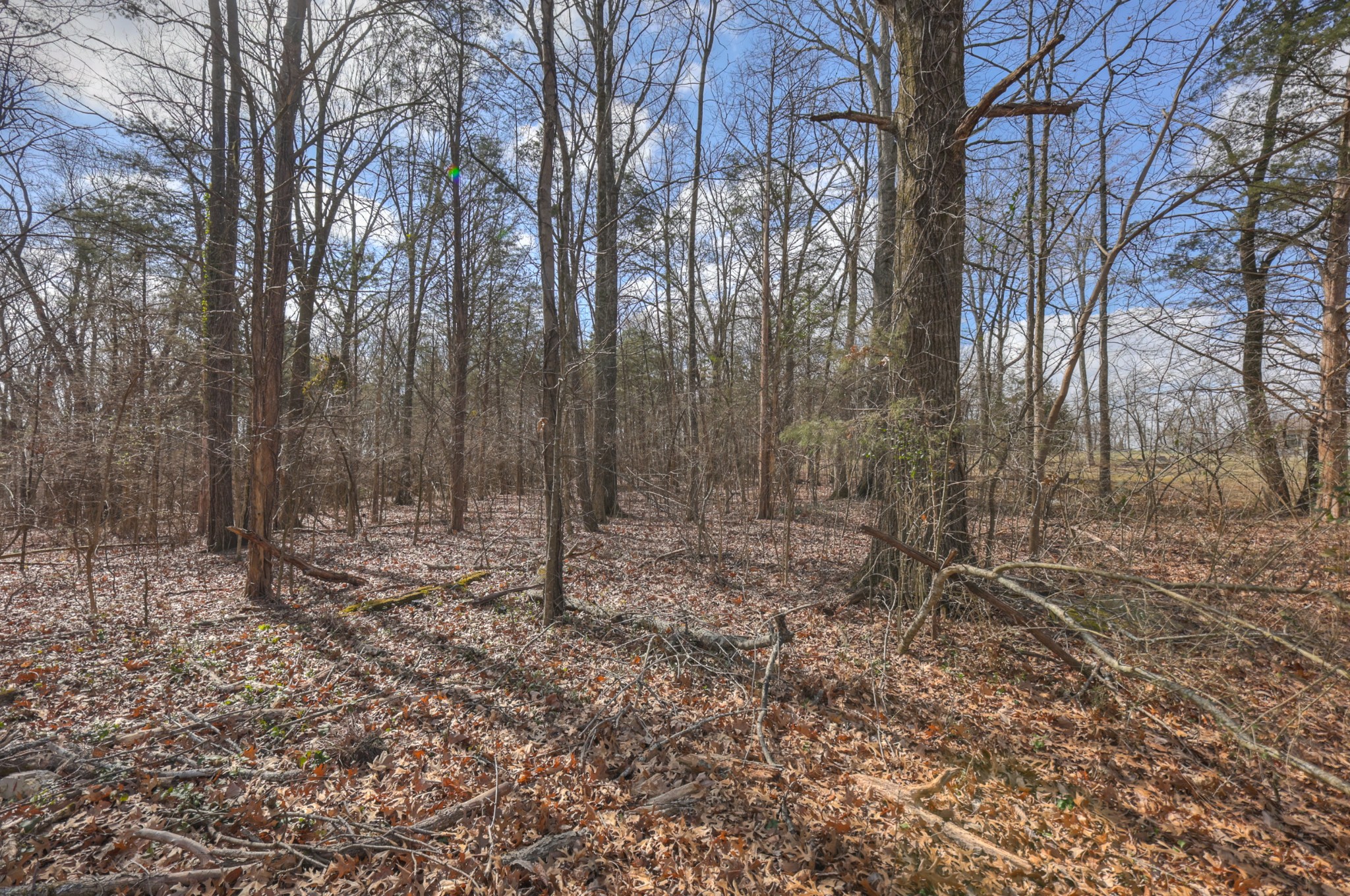 234 Bluegrass Circle Lebanon TN 37090
