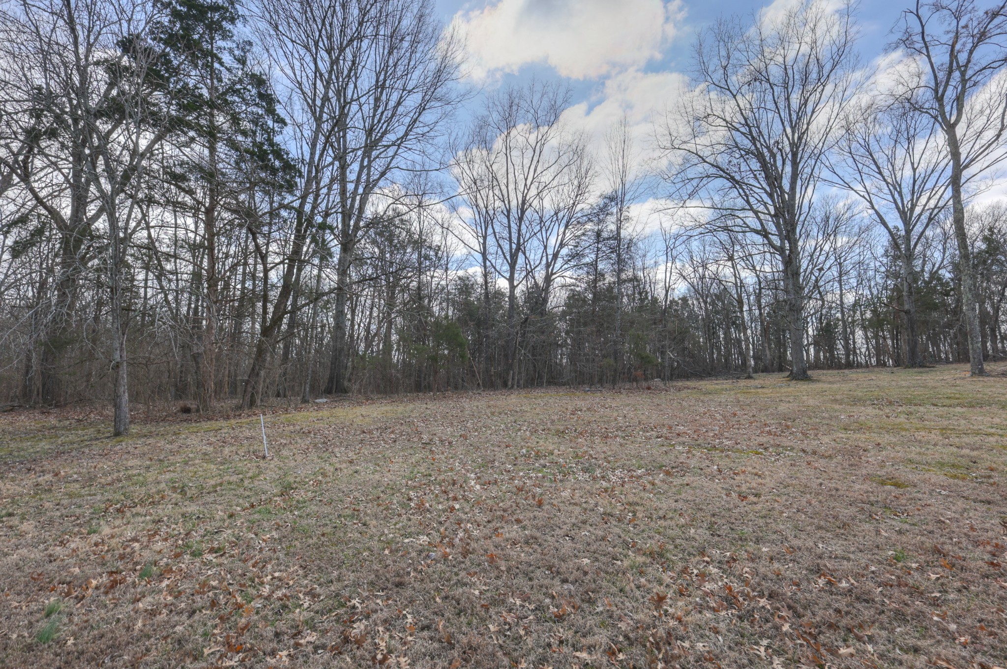 234 Bluegrass Circle Lebanon TN 37090
