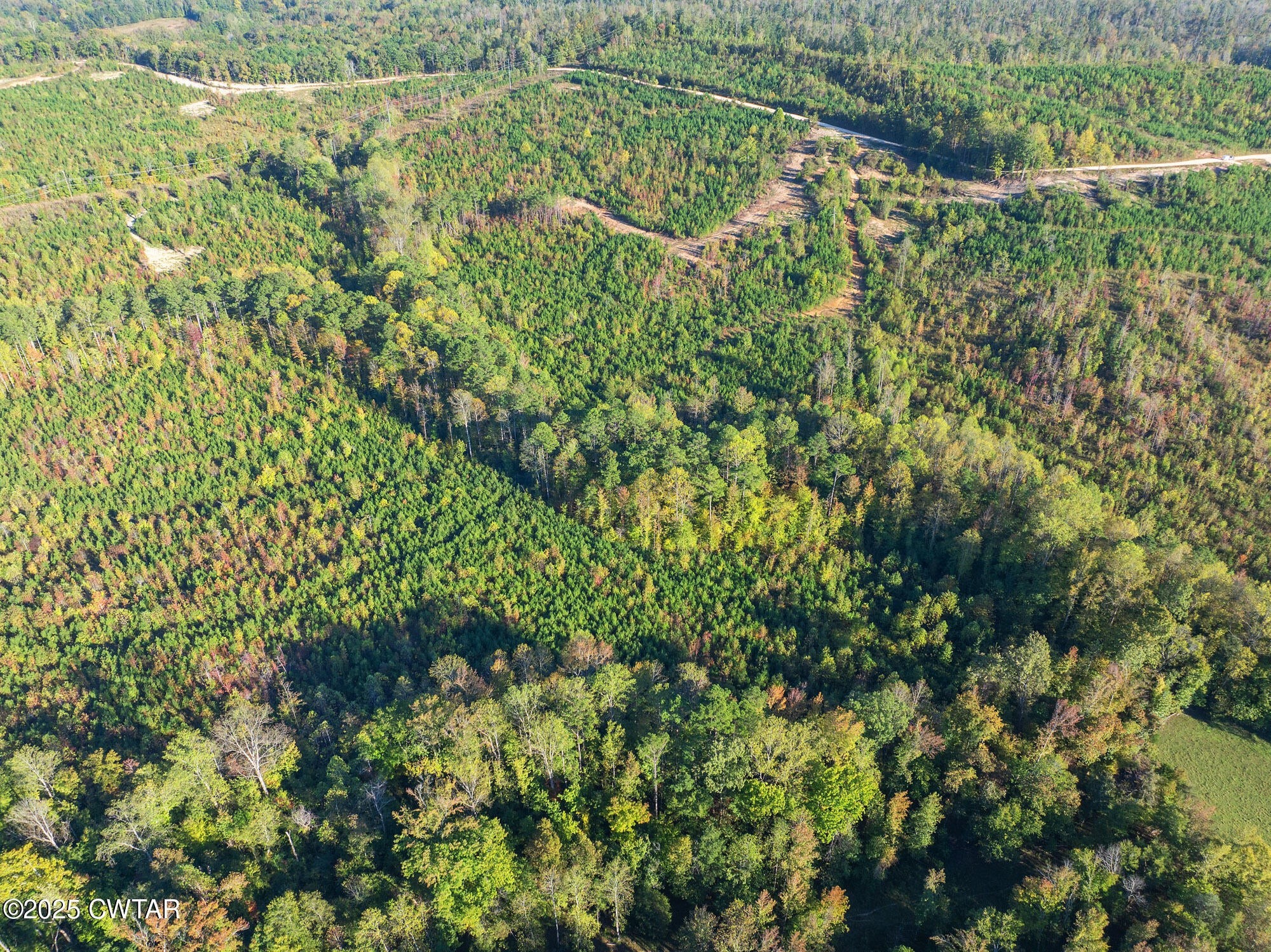 0 Tucker Road Bath Springs TN 38311