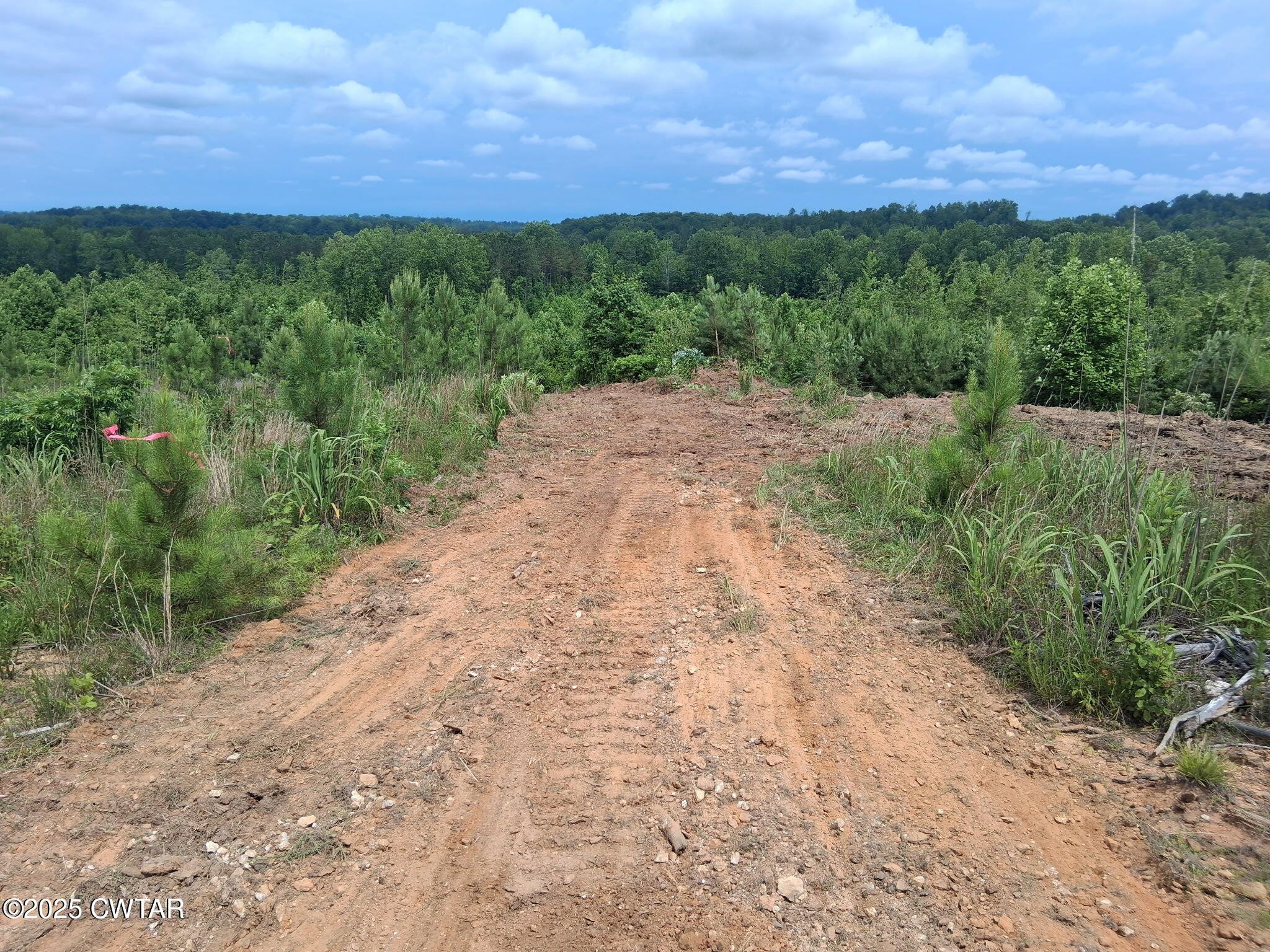 0 Tucker Road Bath Springs TN 38311