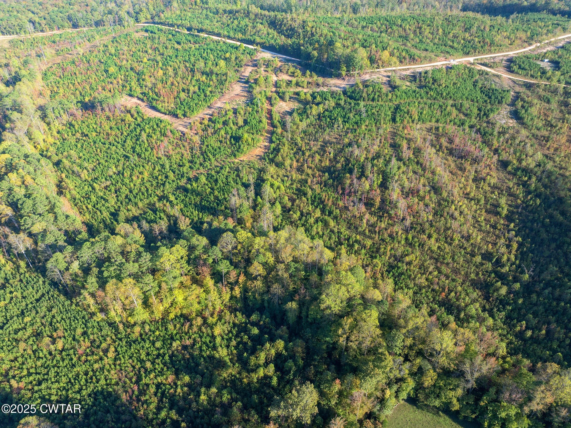 0 Tucker Road Bath Springs TN 38311