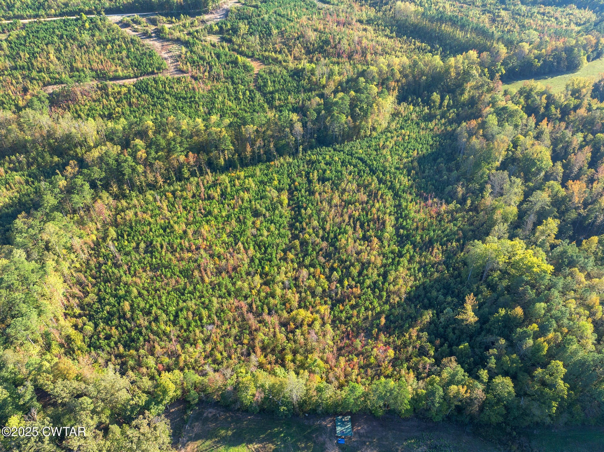 0 Tucker Road Bath Springs TN 38311