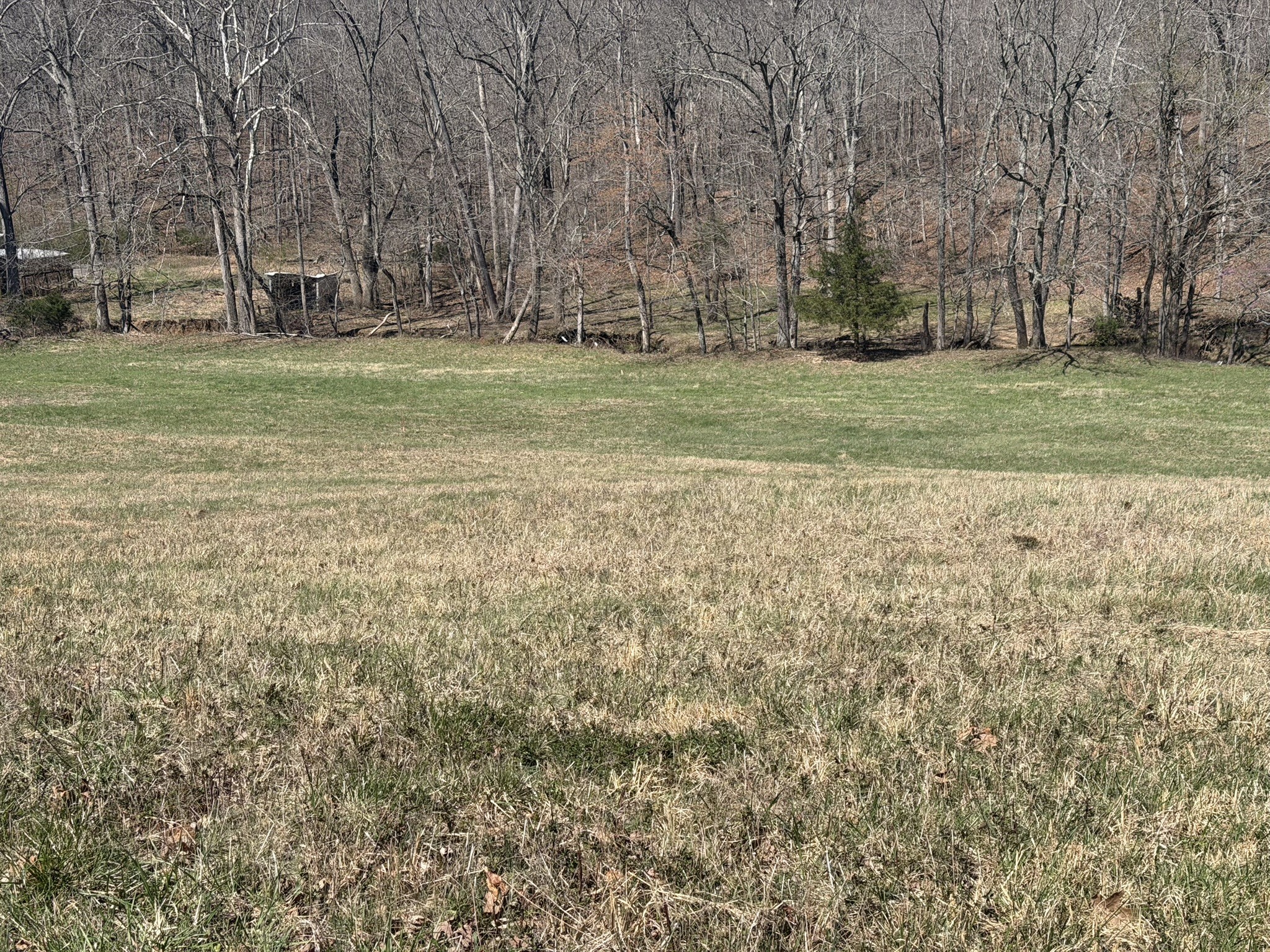 0 Brentwood Drive Dickson TN 37055