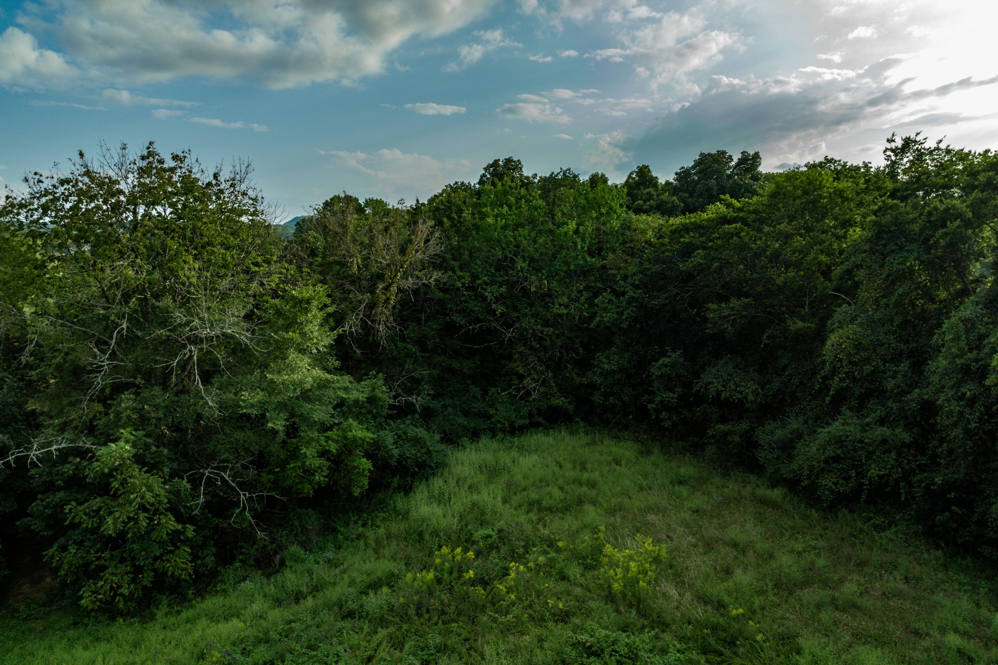 4534 Long Lane Franklin TN 37064