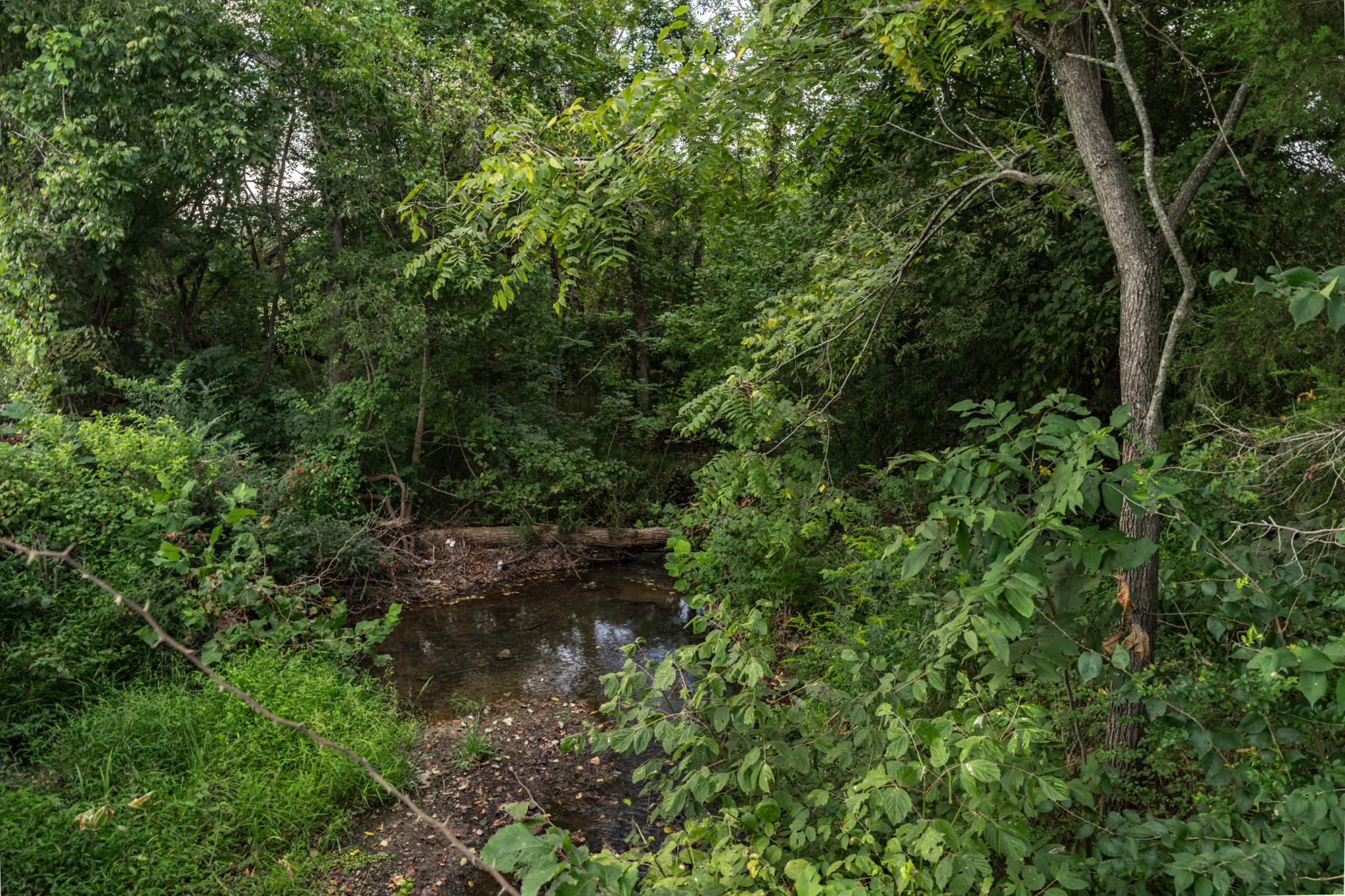 4534 Long Lane Franklin TN 37064