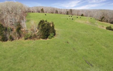 3989 Cadiz Road Bumpus Mills TN 37028