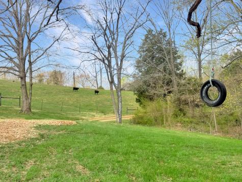 3989 Cadiz Road Bumpus Mills TN 37028
