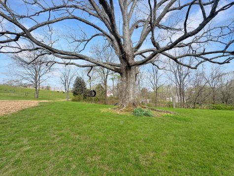 3989 Cadiz Road Bumpus Mills TN 37028