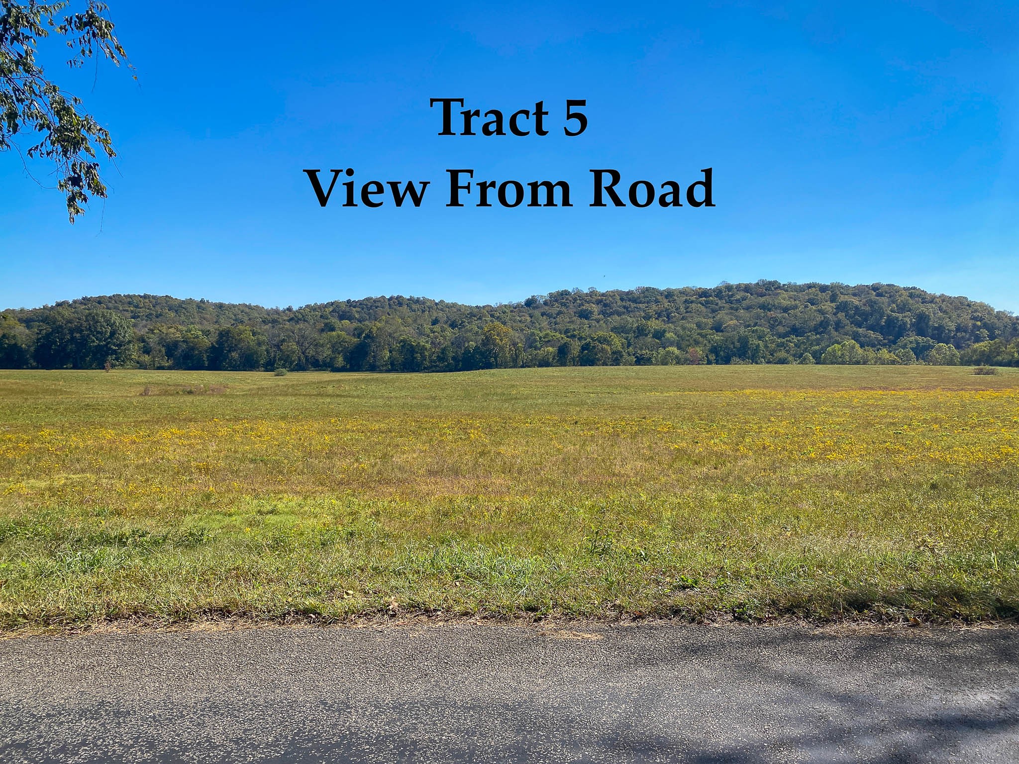 0 Narrows Of The Harpeth Road Kingston Springs TN 37082