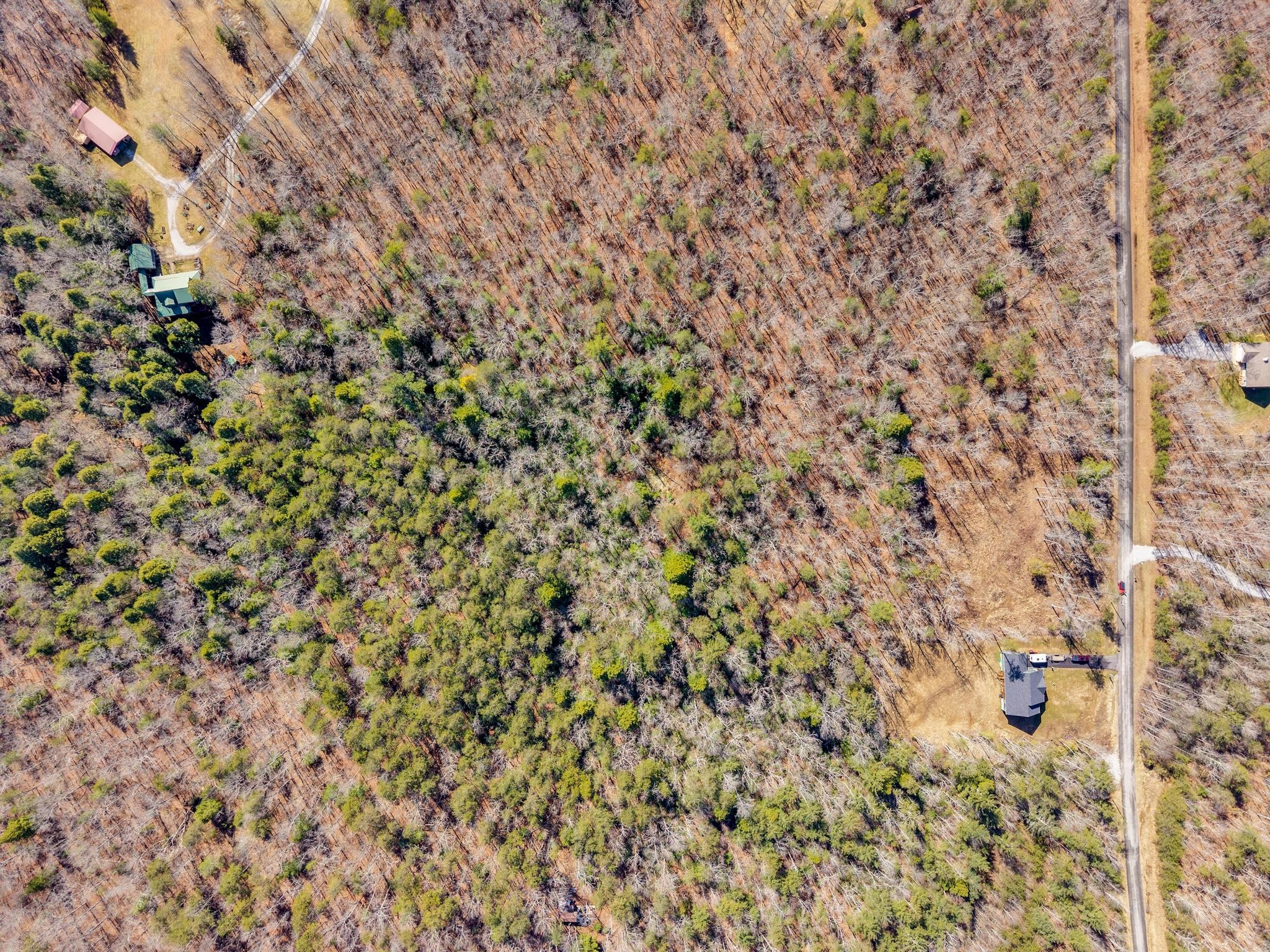 911 Spearhead Circle Clarkrange TN 38553