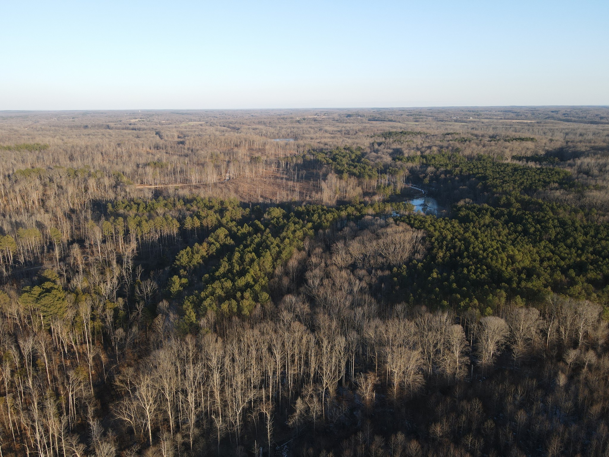 0 Copper Spring Road Springville TN 38256