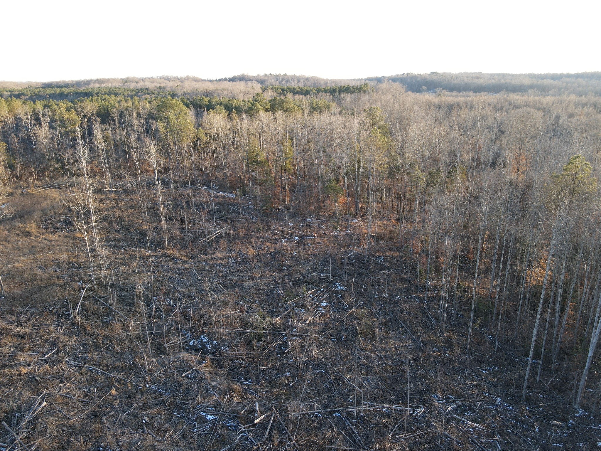 0 Copper Spring Road Springville TN 38256
