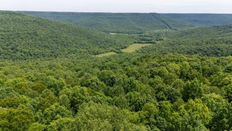 167 Pollywood Lane Sewanee TN 37375