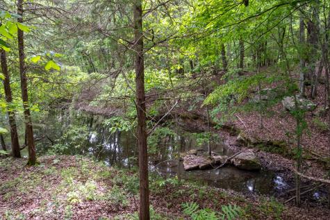 167 Pollywood Lane Sewanee TN 37375
