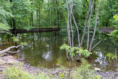 167 Pollywood Lane Sewanee TN 37375