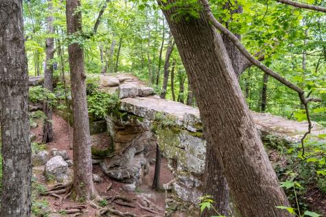 167 Pollywood Lane Sewanee TN 37375