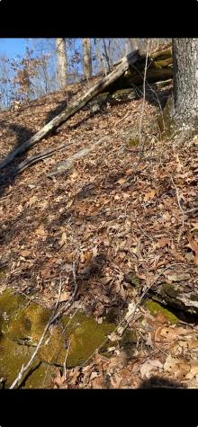 0 Hurricane Creek Road Stewart TN 37175