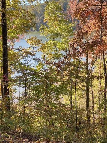 0 Hurricane Creek Road Stewart TN 37175