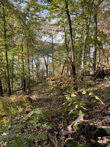 0 Hurricane Creek Road Stewart TN 37175
