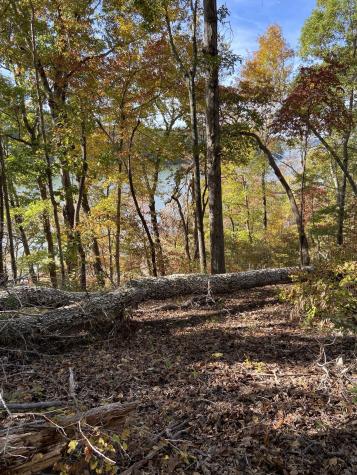 0 Hurricane Creek Road Stewart TN 37175