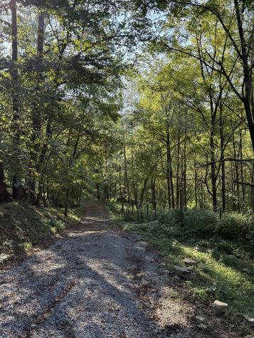 195 Ron Mark Lane Gainesboro TN 38562