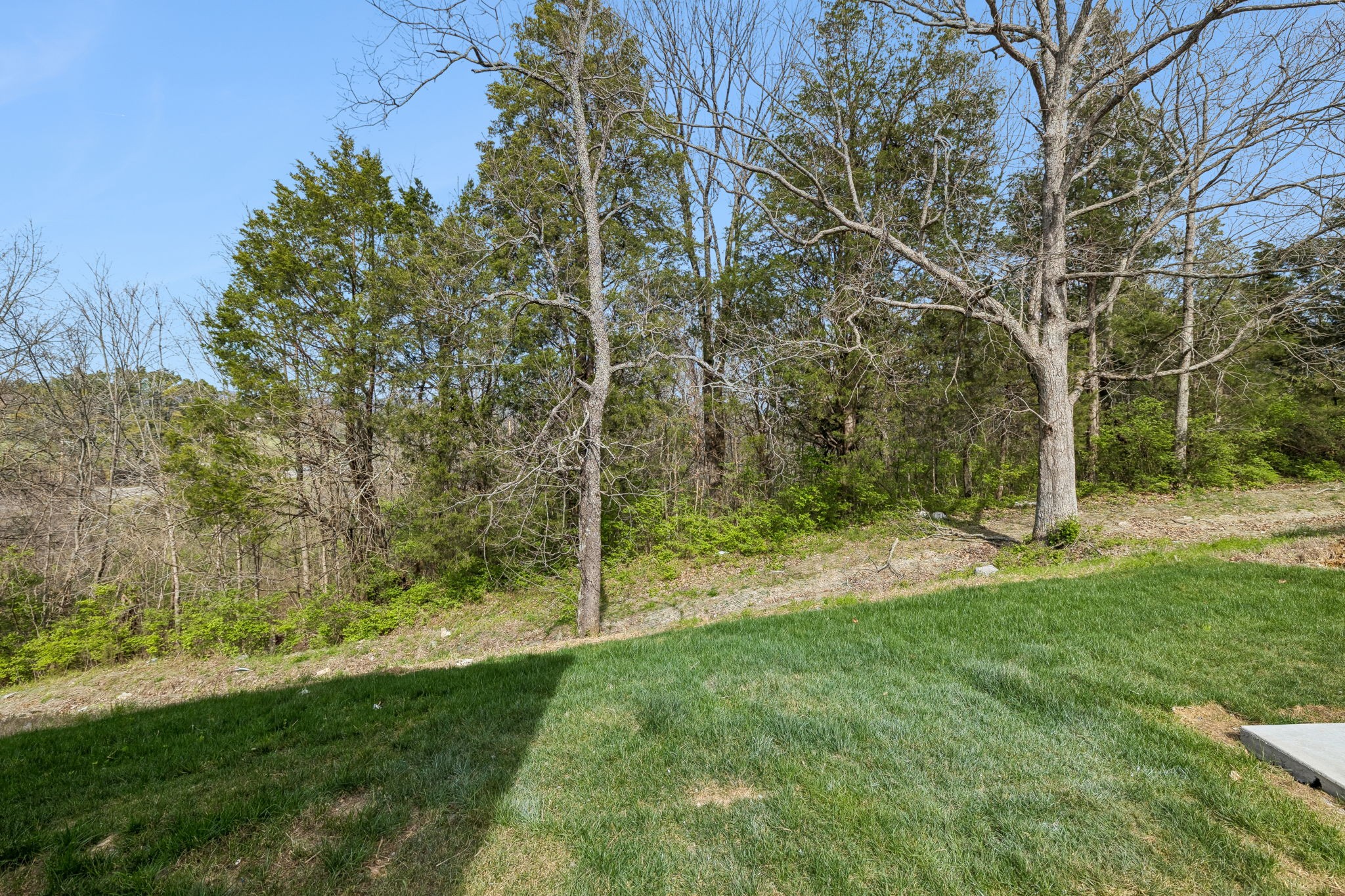 1007 Tiane Trail Gallatin TN 37066