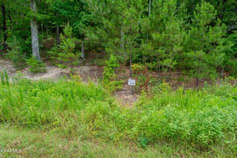 726 Twin Lakes Drive Loudon TN 37774