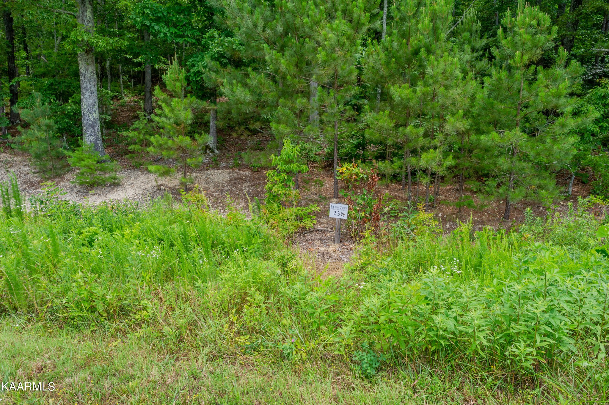 726 Twin Lakes Drive Loudon TN 37774
