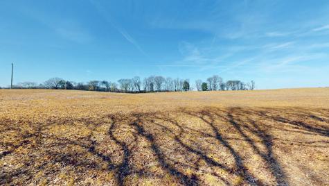 1111 E Robertson Road Castalian Springs TN 37031