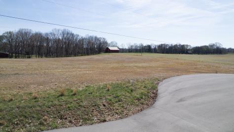 1111 E Robertson Road Castalian Springs TN 37031