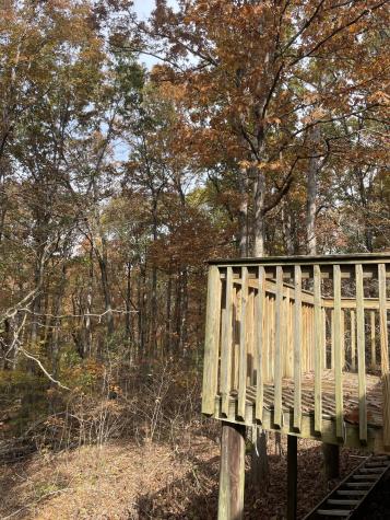 2203 Deer Lake Drive Nunnelly TN 37137